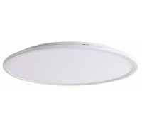 Накладной светильник Zortes GALO ZRS.10112.13