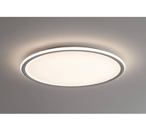 Накладной светильник Zortes GALO ZRS.10112.13