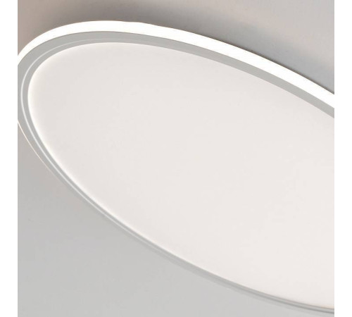 Накладной светильник Zortes GALO ZRS.10112.13