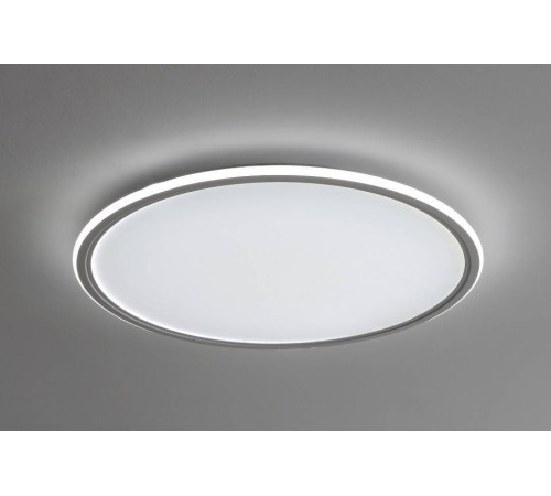 Накладной светильник Zortes GALO ZRS.10112.13