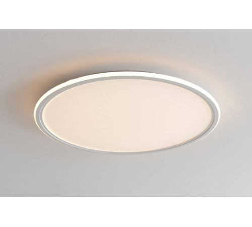 Накладной светильник Zortes GALO ZRS.10112.13