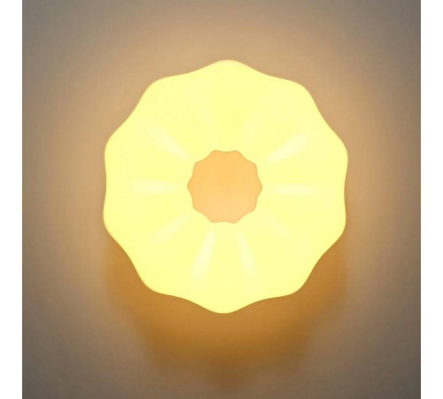 Накладной светильник Zortes SOFT ZRS.1118.2