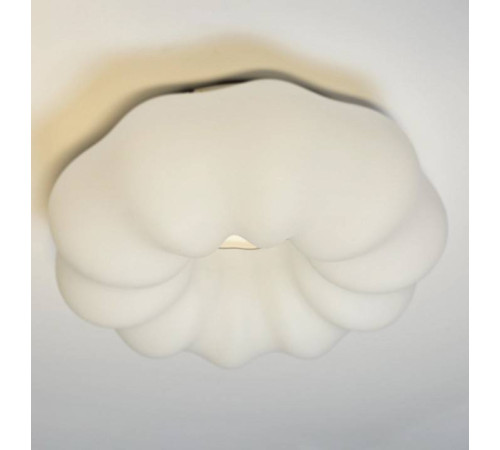 Накладной светильник Zortes SOFT ZRS.1118.2