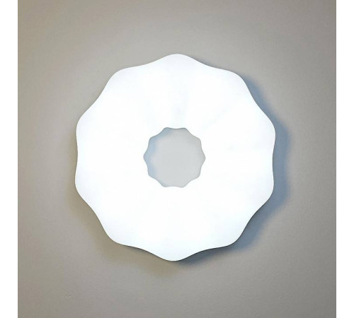 Накладной светильник Zortes SOFT ZRS.1118.2