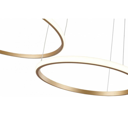 Подвесной светильник Zortes RINGOLIGHT ZRS.33320.63F