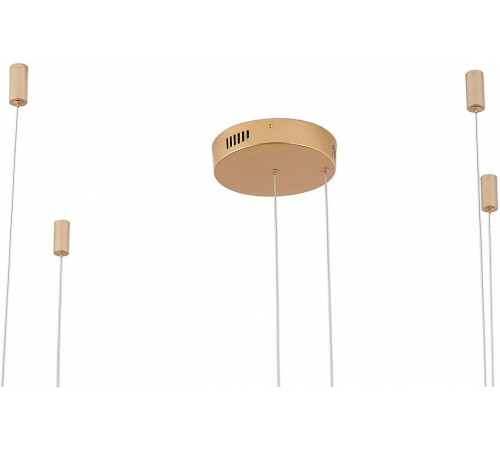 Подвесной светильник Zortes RINGOLIGHT ZRS.33320.63F