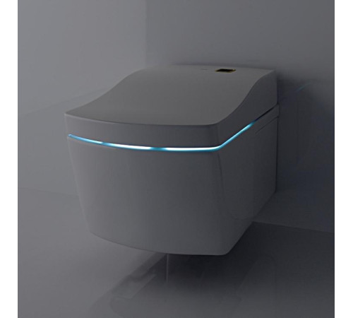 Унитаз подвесной TOTO Neorest AC безободковый с сиденьем Washlet 42.3x66.6x41 см TCF996RWG#NW1 / CW996PVD#NW1