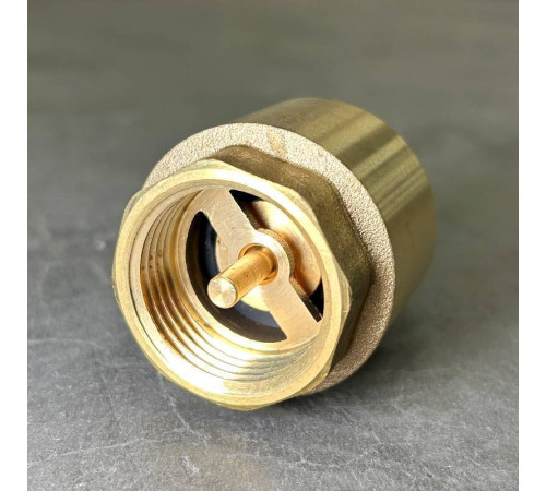 Клапан обратный STOUT пружинный с латунным затвором 1 ВВ CV251003