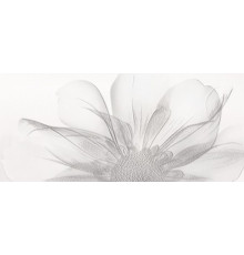 Декор Novogres Nagore 27х60 см х9999052554