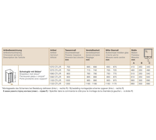 Дверь для душевой кабины распашная правая Provex Combi 1000х1950 мм 1100 CT 05 GL R