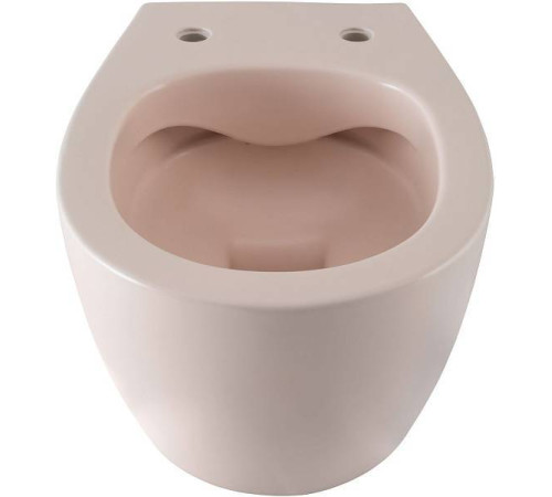 Чаша подвесного унитаза Allen Brau Fantasy розовый 4.11004.SM