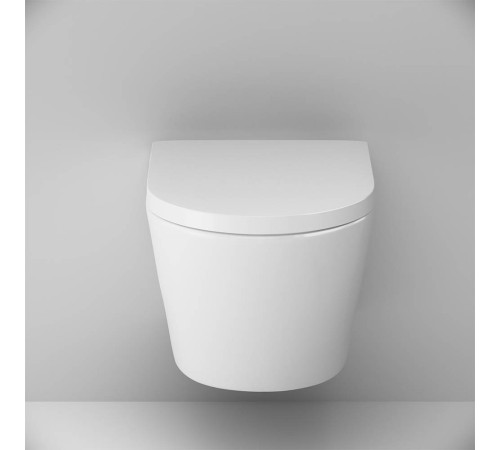 Унитаз подвесной AM.PM Spirit V2.0 FlashClean с сиденьем микролифт C741701SC