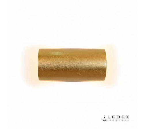 Накладной светильник iLedex Cute ZD8077-6W Gold