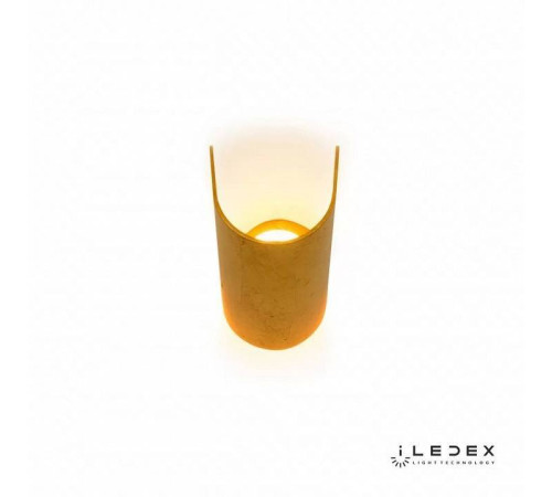 Накладной светильник iLedex Cute ZD8077-6W Gold
