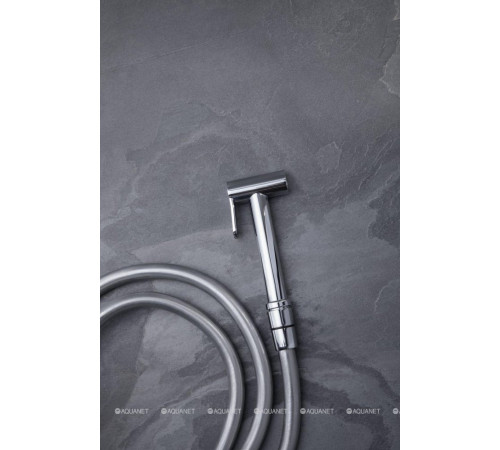 Гигиенический душ Allen Brau Priority хром 5.31028-00