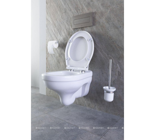 Ершик для унитаза Allen Brau Priority настенный керамический белый/матовый никель 6.31008-BN