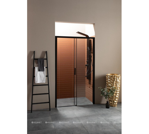 Душевая дверь в нишу Aquanet Pleasure 1600 мм черный матовый AE60-N-160H200U-BT
