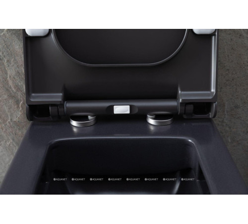 Унитаз подвесной Allen Brau INFINITY 2 Rimless без сиденья 535x340 мм 4.21011.AN