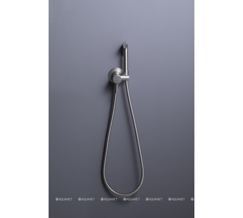 Смеситель с гигиеническим душем Allen Brau Priority 3.0 брашированный никель 5.31A29-BN