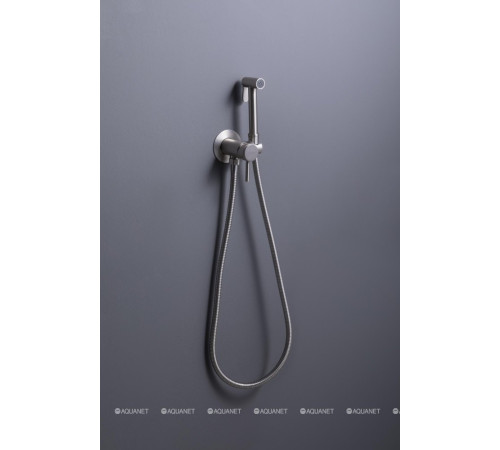 Смеситель с гигиеническим душем Allen Brau Priority 3.0 брашированный никель 5.31A29-BN