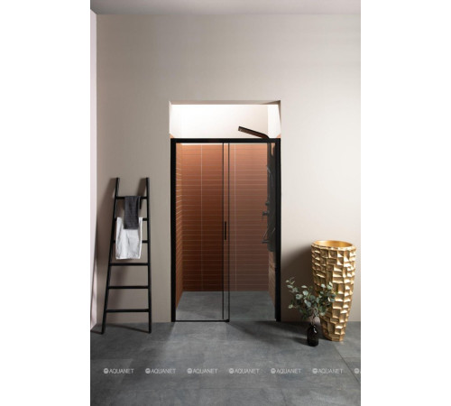 Душевая дверь в нишу Aquanet Pleasure 1200 мм черный матовый AE60-N-120H200U-BT