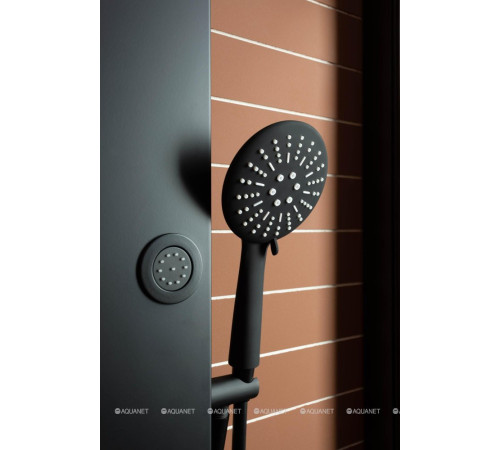 Душевая дверь в нишу Aquanet Pleasure 1200 мм черный матовый AE60-N-120H200U-BT