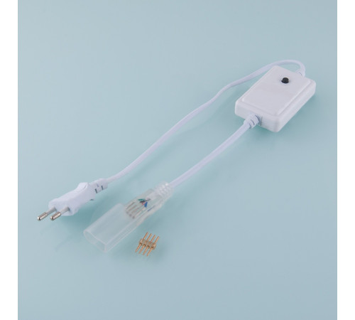 Контроллер для светодиодного гибкого неона LS001 RGB 220V 5050 LSC 004