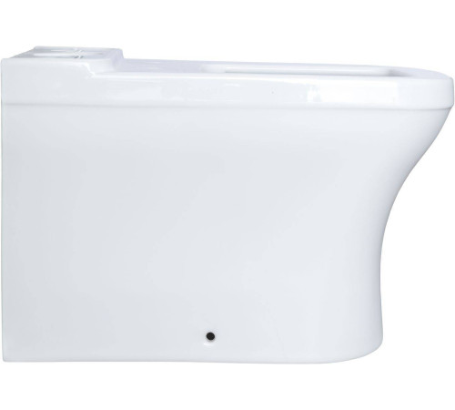 Чаша напольного унитаза Allen Brau Infinity 37.2x54.5x81.2 см белый 4.21012.20