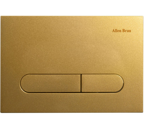 Клавиша смыва Allen Brau Project Color 23.1x15.7 см золотой 9.2PR01.GD
