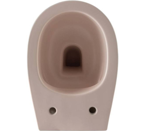 Чаша подвесного унитаза Allen Brau Fantasy розовый 4.11004.SM