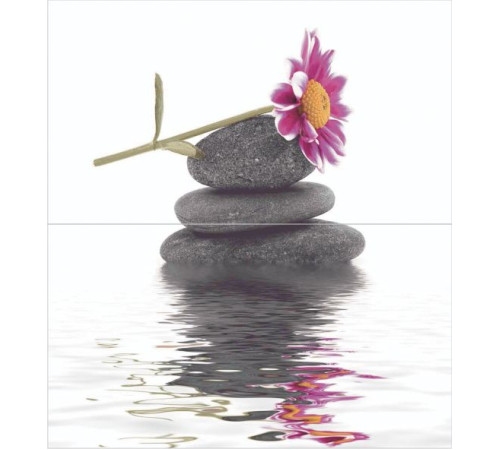 Панно Ceradim Stones из 2-х шт 50х45 см КПН16Stones