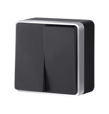 Выключатель двухклавишный Gallant черный с серебром W5020034 W5020034