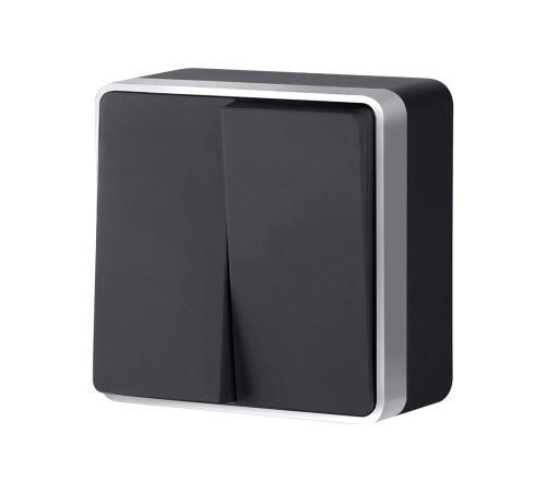 Выключатель двухклавишный Gallant черный с серебром W5020034 W5020034