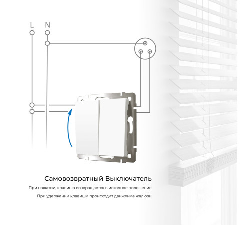 Выключатель двухклавишный с самовозвратом (белый) W1122401