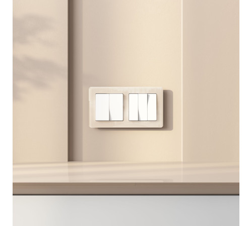 Выключатель двухклавишный с самовозвратом (белый) W1122401