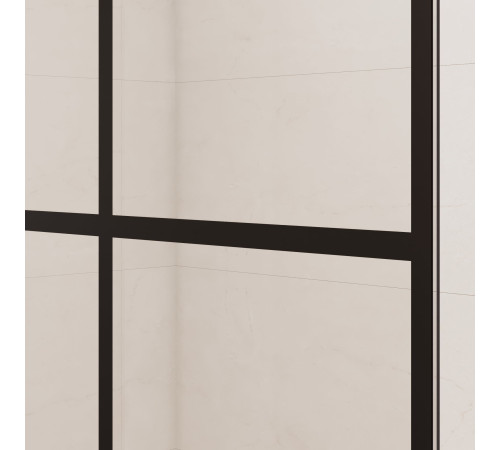 Душевая перегородка RGW WA-111B 900 мм 411011109-84