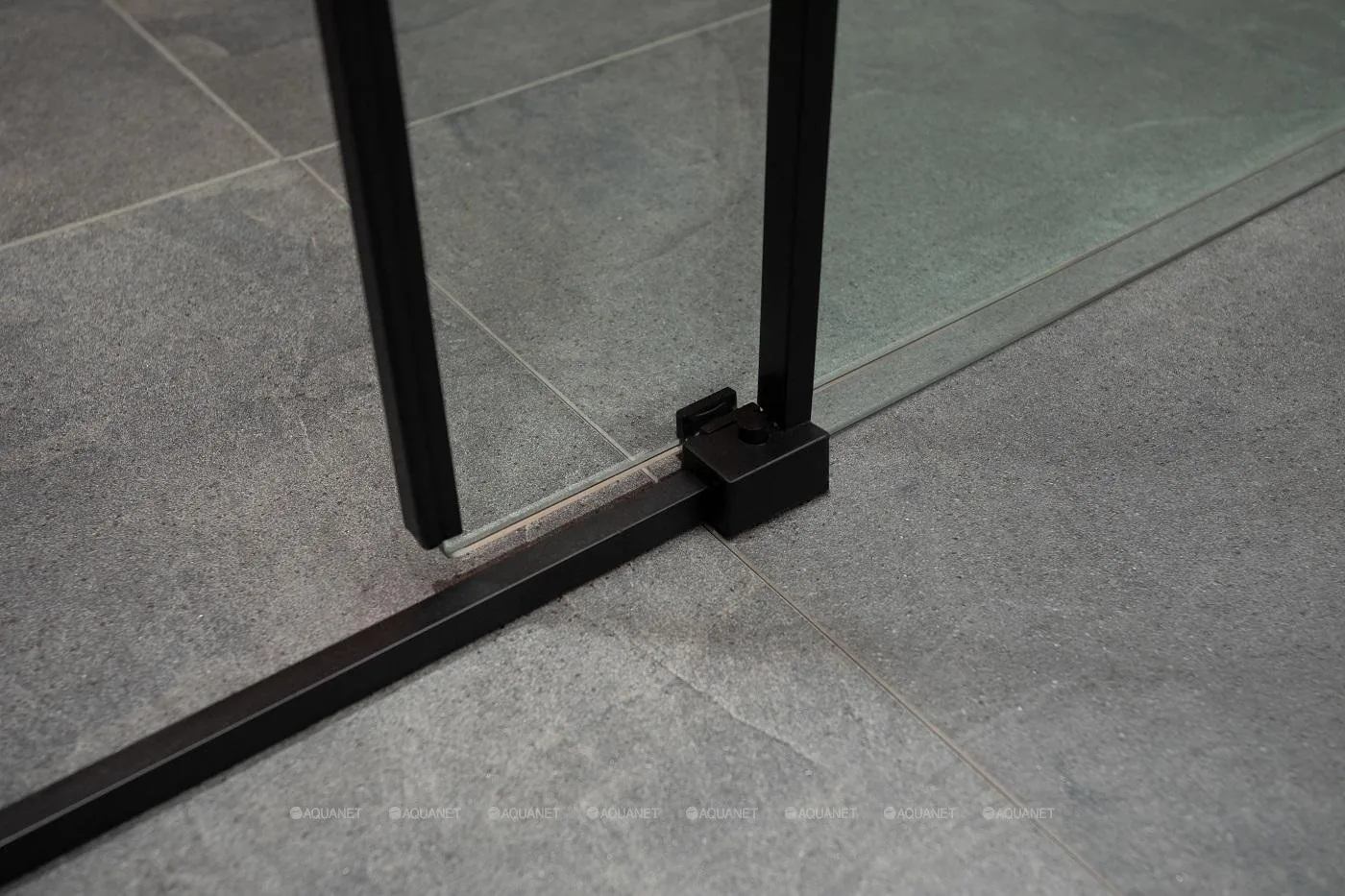 Душевая дверь в нишу Aquanet Pleasure 1600 мм черный матовый AE60-N-160H200U-BT